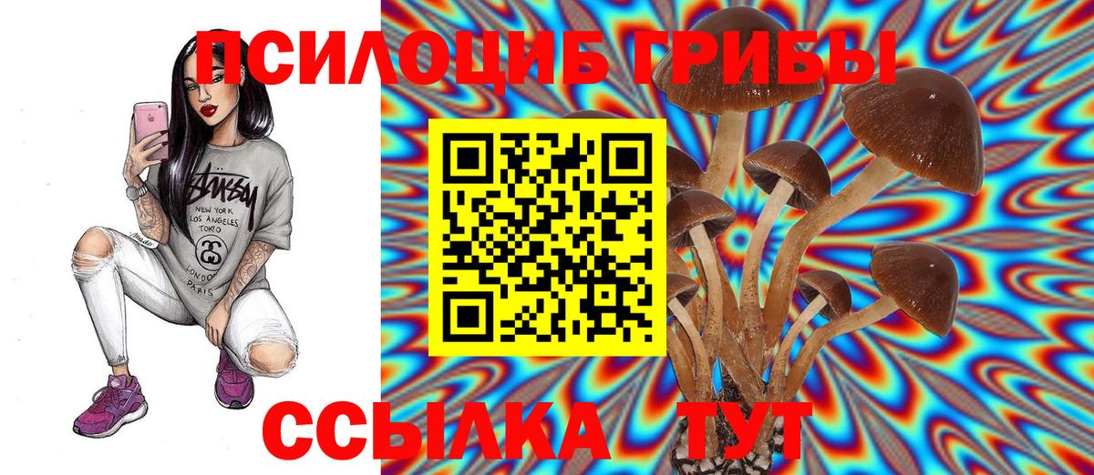 Северск  Псилоцибиновые грибы Cubensis  Вход с VPN  Галлюциногенные грибы GOLDEN TEACHER 